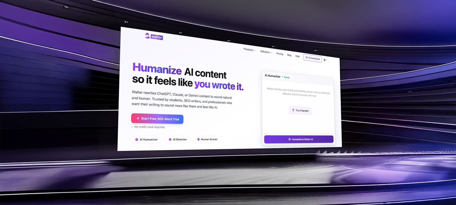 walter writes, AI humanizer