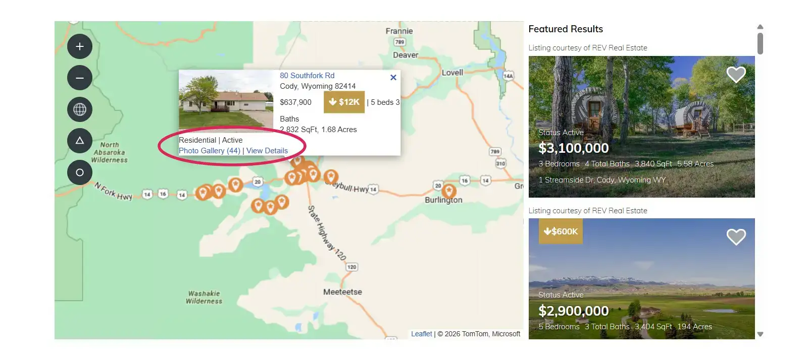 Custom styling of an IDX Broker property popup displayed from map search