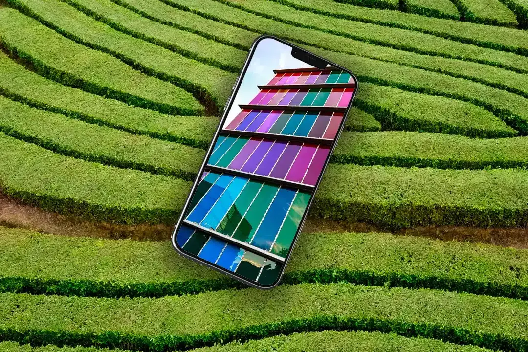 Smartphone displaying a colorful website design over a landscaped garden
