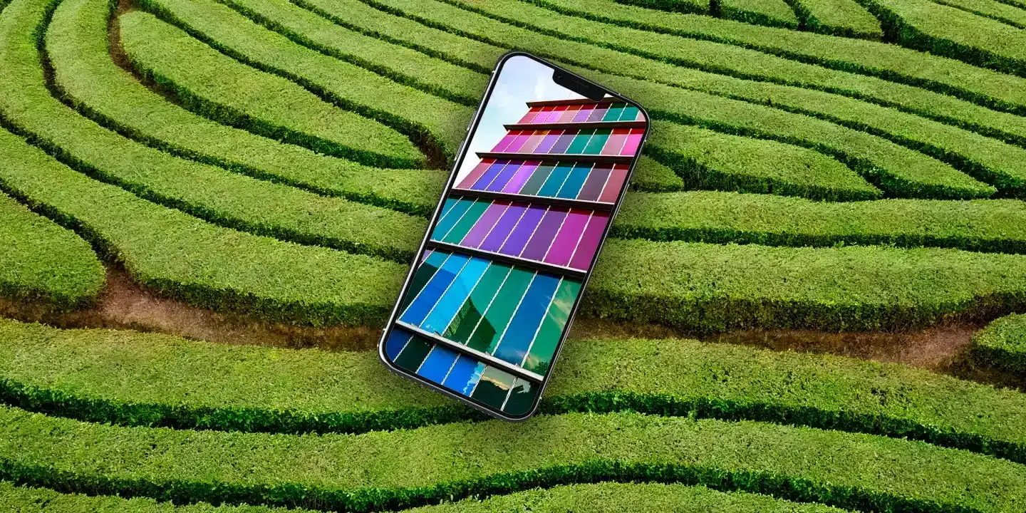Smartphone displaying a colorful website design over a landscaped garden