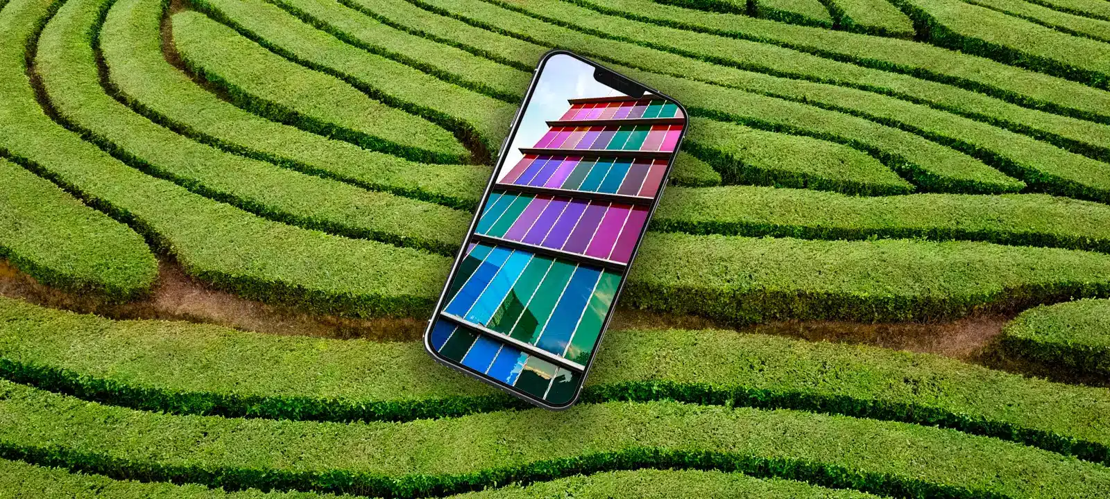 Smartphone displaying a colorful website design over a landscaped garden